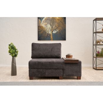 Fotoliu extensibil, Balcab Home, 825BLC4709, Lemn, Antracit
