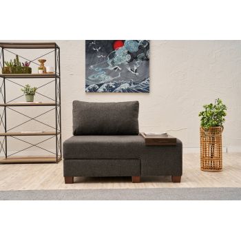 Fotoliu extensibil, Balcab Home, 825BLC4715, Lemn, Antracit