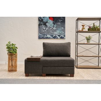 Fotoliu extensibil, Balcab Home, 825BLC4716, Lemn, Antracit