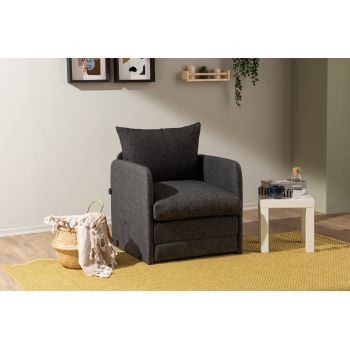Fotoliu extensibil, Futon, 859FTN2882, Metal , Gri inchis
