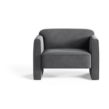 Fotoliu gri cu tapițerie din catifea Abby – Micadoni