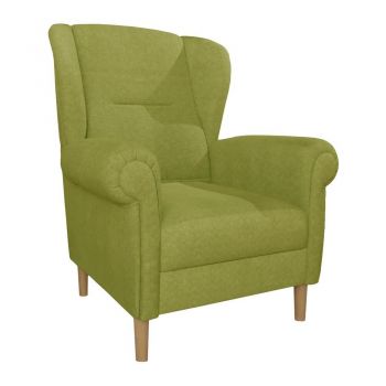 Fotoliu verde wing Swan – Ropez