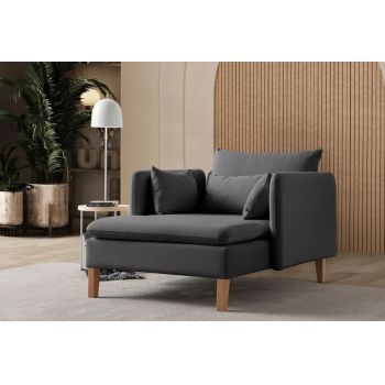 Fotoliu, Atelier del Sofa, 752EST1703, Frame: 70% HORNBEAM/30% MELAMINE COATED CHIPBOARD, Antracit