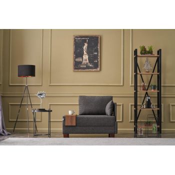 Fotoliu Onye Dreapta, 75x80x100 cm - Gri