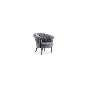 Fotoliu Philips Gri